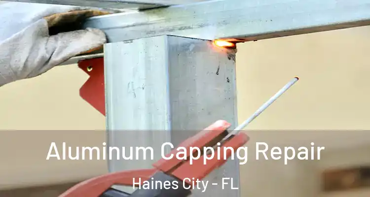  Aluminum Capping Repair Haines City - FL