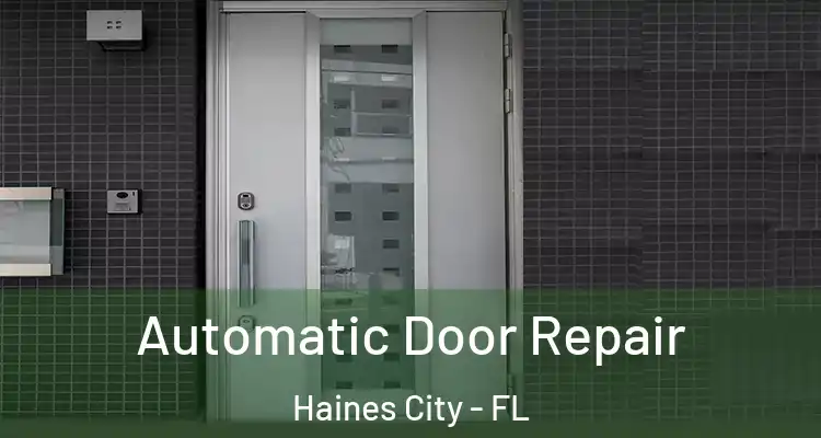  Automatic Door Repair Haines City - FL