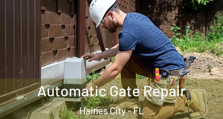  Automatic Gate Repair Haines City - FL