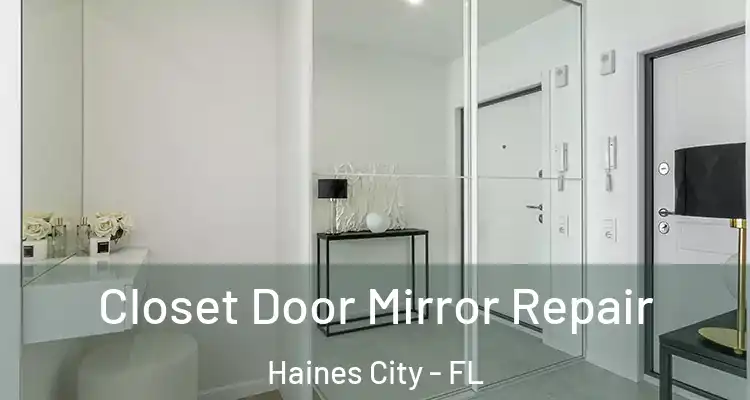  Closet Door Mirror Repair Haines City - FL