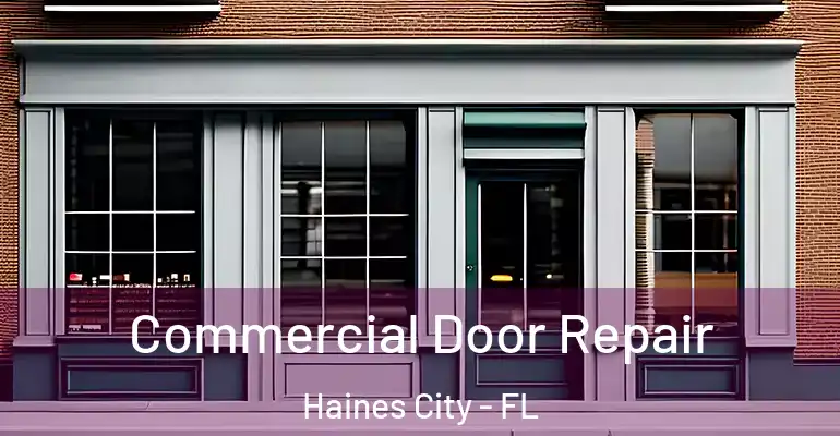  Commercial Door Repair Haines City - FL