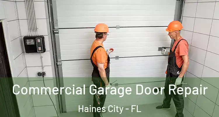  Commercial Garage Door Repair Haines City - FL