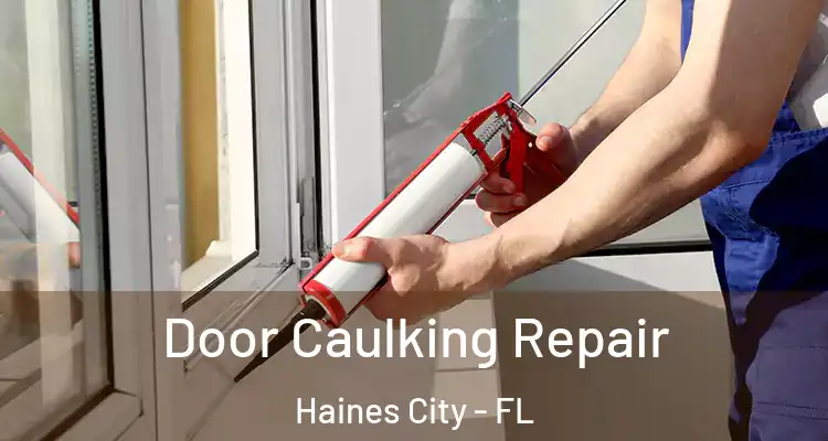 Door Caulking Repair Haines City - FL