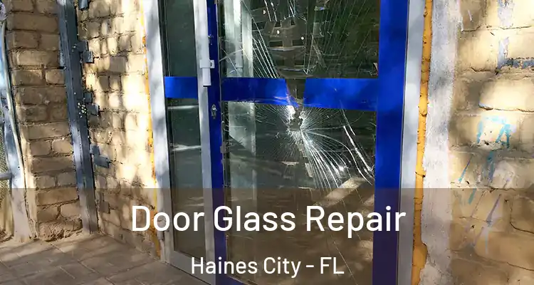  Door Glass Repair Haines City - FL
