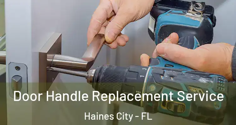  Door Handle Replacement Service Haines City - FL