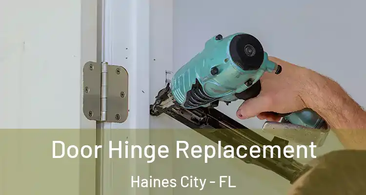  Door Hinge Replacement Haines City - FL