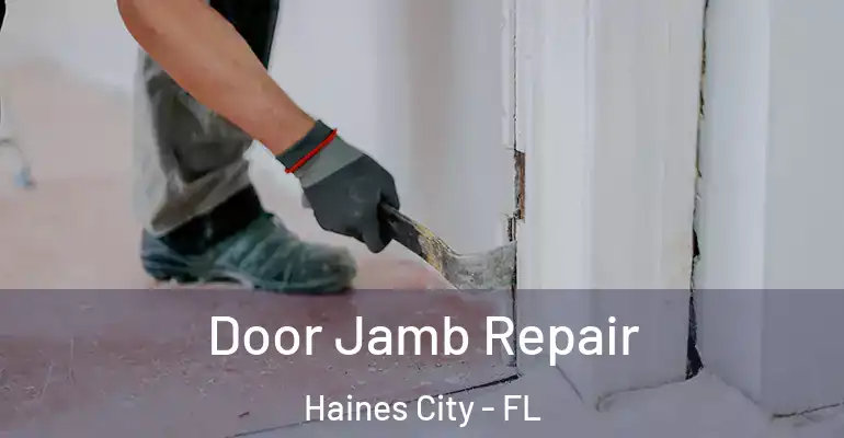  Door Jamb Repair Haines City - FL