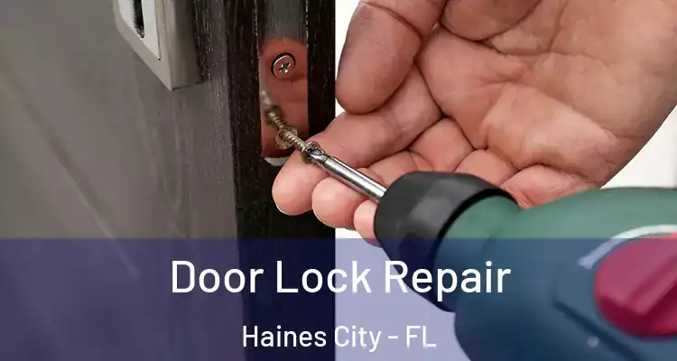  Door Lock Repair Haines City - FL