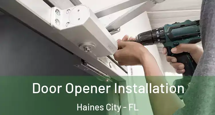  Door Opener Installation Haines City - FL