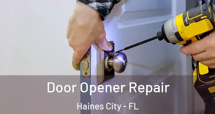  Door Opener Repair Haines City - FL