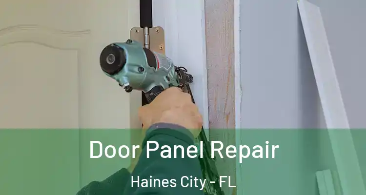  Door Panel Repair Haines City - FL