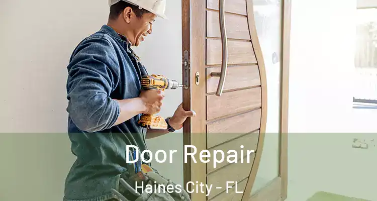  Door Repair Haines City - FL