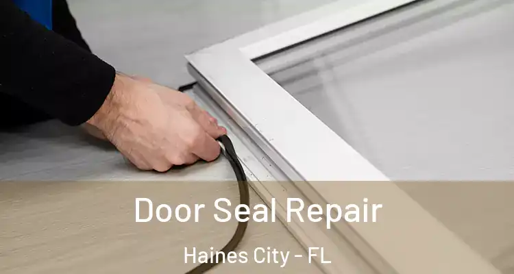  Door Seal Repair Haines City - FL