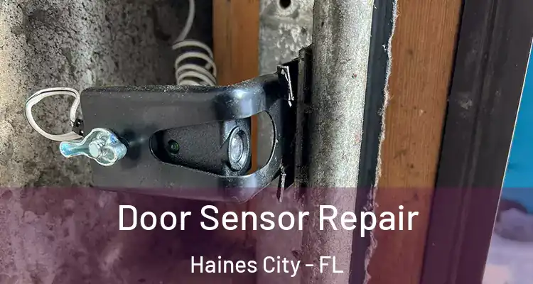  Door Sensor Repair Haines City - FL