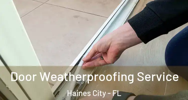  Door Weatherproofing Service Haines City - FL