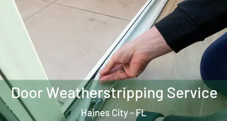  Door Weatherstripping Service Haines City - FL