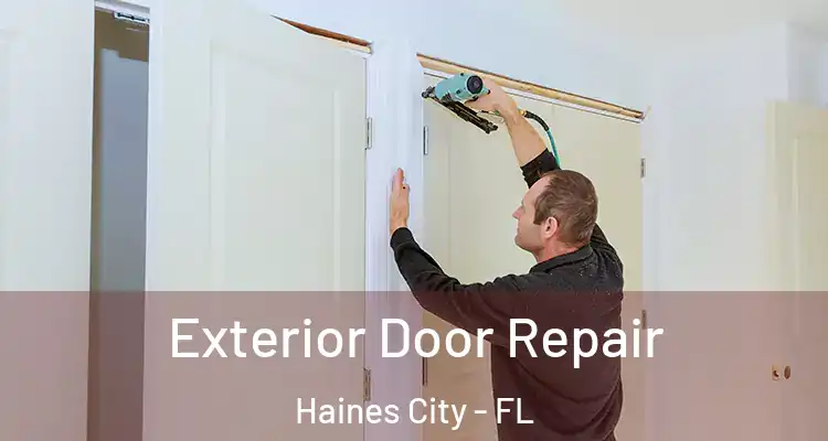  Exterior Door Repair Haines City - FL