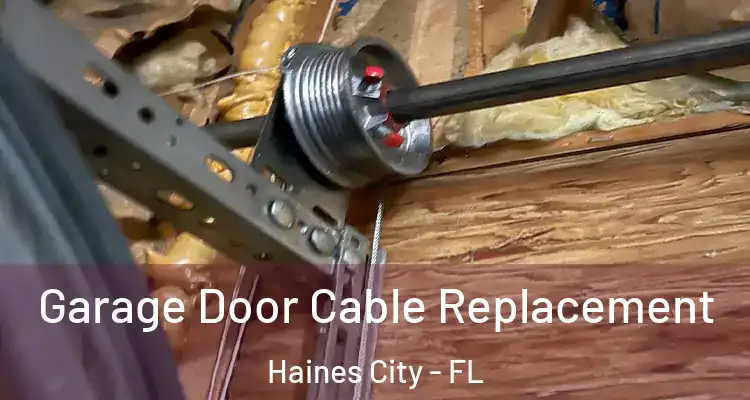  Garage Door Cable Replacement Haines City - FL
