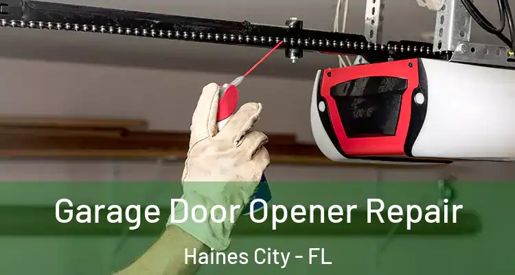  Garage Door Opener Repair Haines City - FL