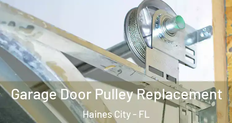  Garage Door Pulley Replacement Haines City - FL