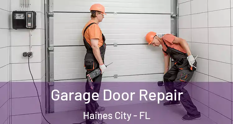  Garage Door Repair Haines City - FL