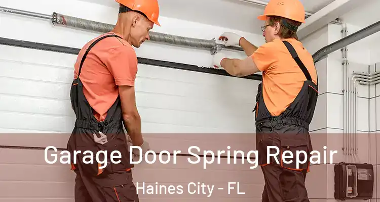  Garage Door Spring Repair Haines City - FL