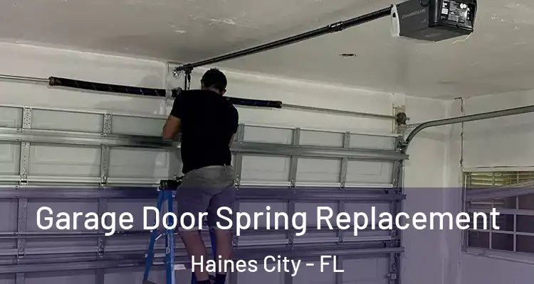  Garage Door Spring Replacement Haines City - FL