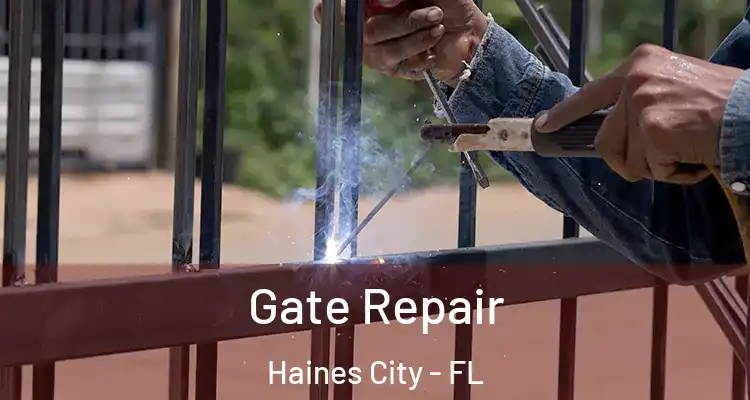  Gate Repair Haines City - FL
