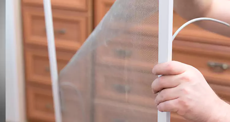 Privacy Mesh Screen Door Installation in Haines City, FL