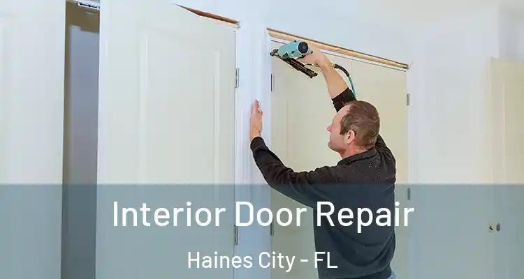  Interior Door Repair Haines City - FL