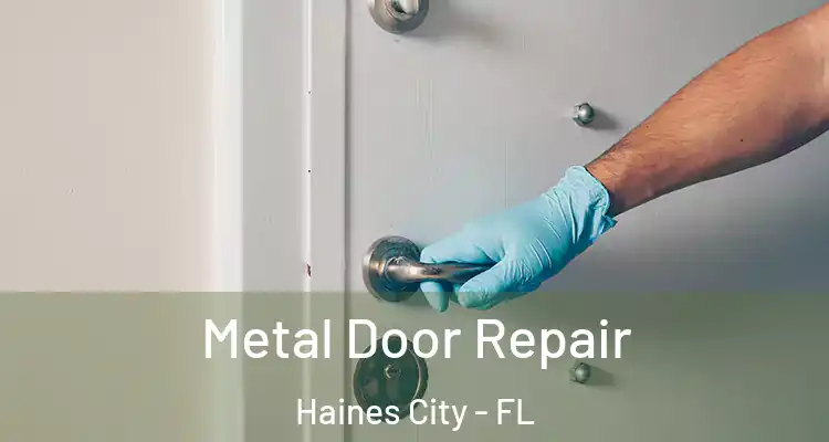  Metal Door Repair Haines City - FL