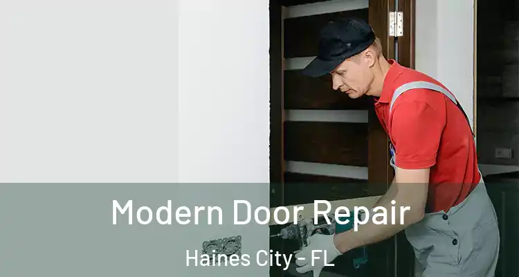  Modern Door Repair Haines City - FL