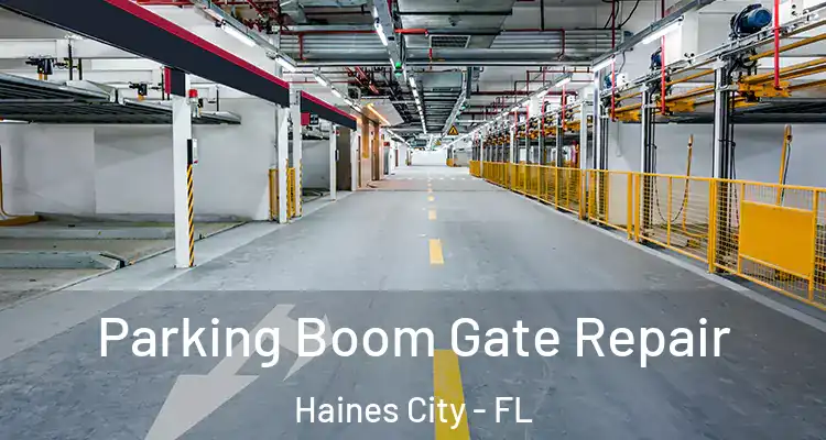  Parking Boom Gate Repair Haines City - FL