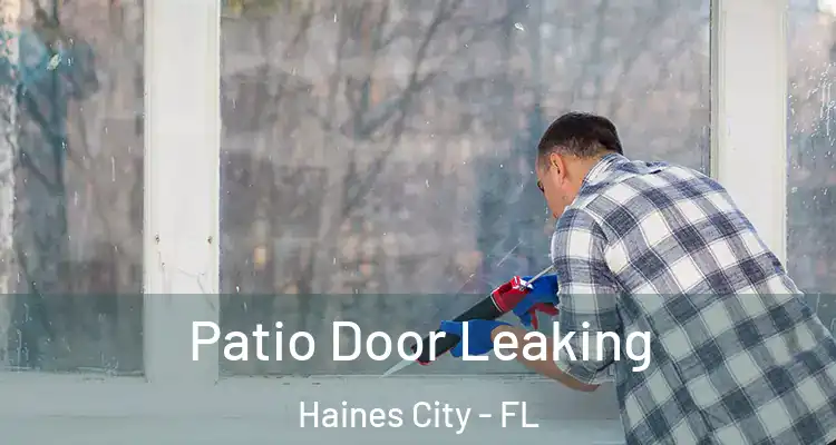  Patio Door Leaking Haines City - FL