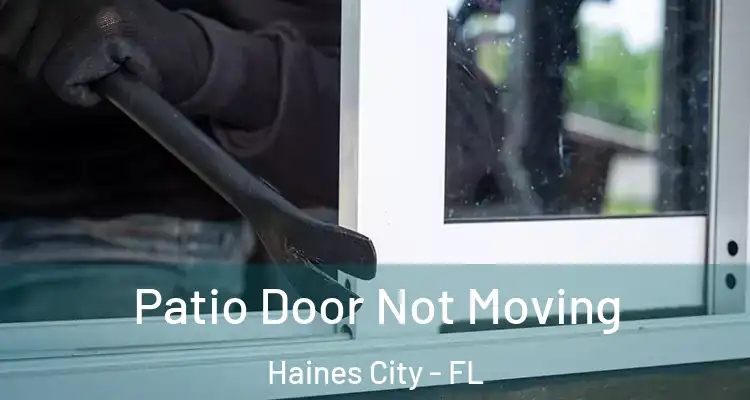  Patio Door Not Moving Haines City - FL
