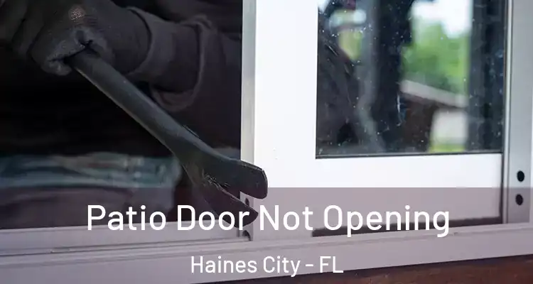  Patio Door Not Opening Haines City - FL