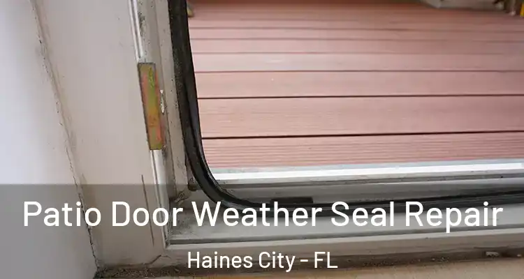  Patio Door Weather Seal Repair Haines City - FL
