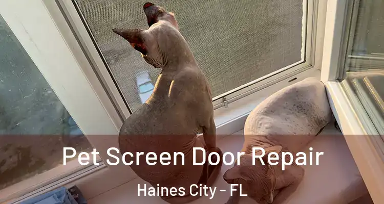  Pet Screen Door Repair Haines City - FL