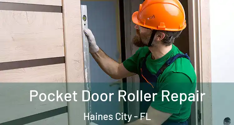  Pocket Door Roller Repair Haines City - FL