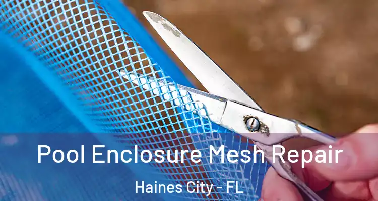  Pool Enclosure Mesh Repair Haines City - FL