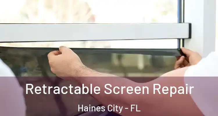  Retractable Screen Repair Haines City - FL