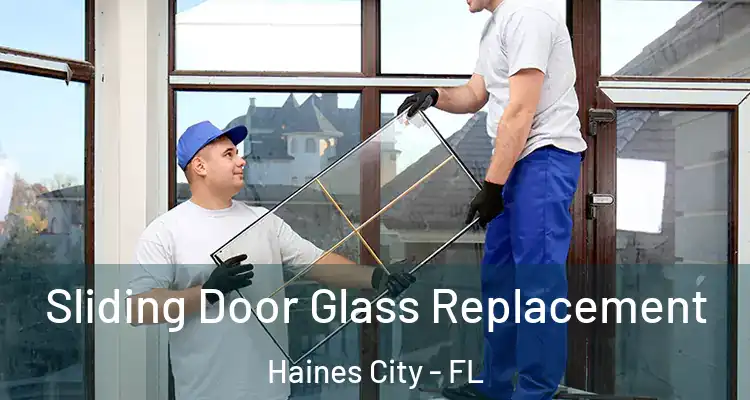  Sliding Door Glass Replacement Haines City - FL