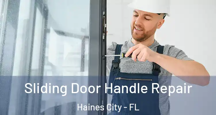  Sliding Door Handle Repair Haines City - FL