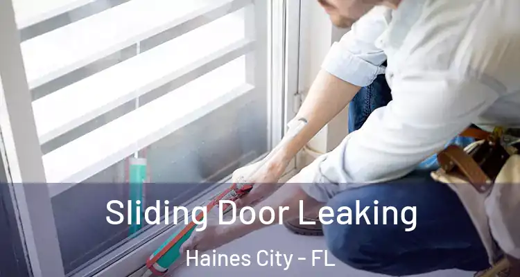  Sliding Door Leaking Haines City - FL