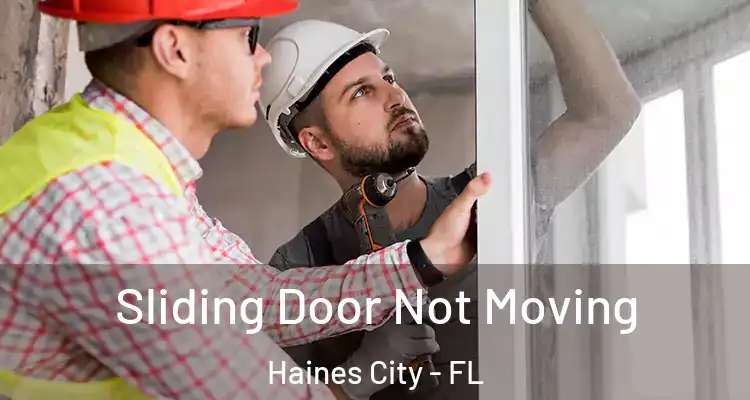  Sliding Door Not Moving Haines City - FL