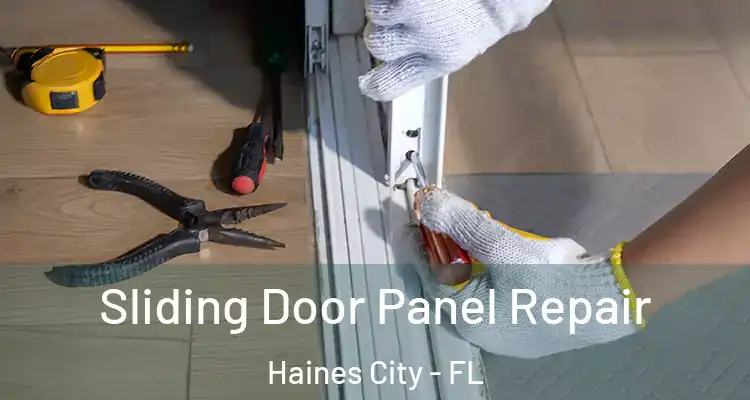  Sliding Door Panel Repair Haines City - FL