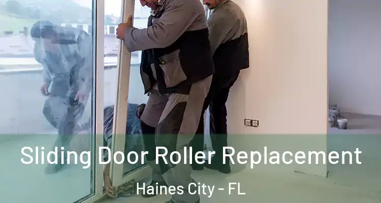  Sliding Door Roller Replacement Haines City - FL