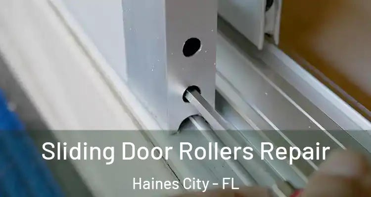  Sliding Door Rollers Repair Haines City - FL