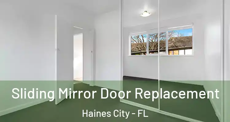  Sliding Mirror Door Replacement Haines City - FL