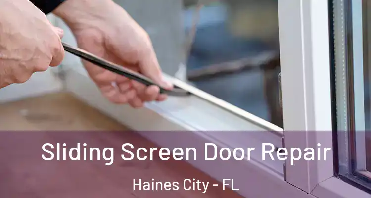  Sliding Screen Door Repair Haines City - FL